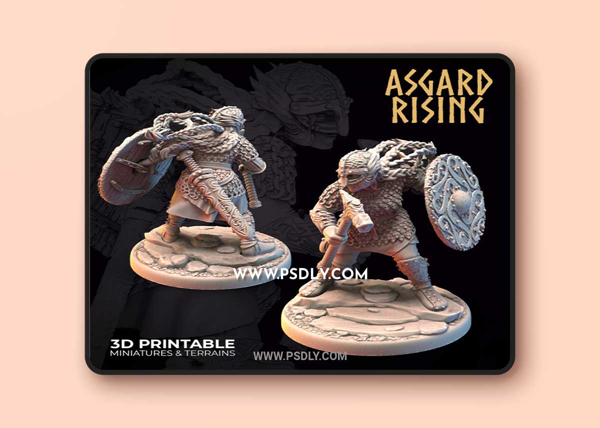 Shieldmaiden 1 3D Print 3D Model