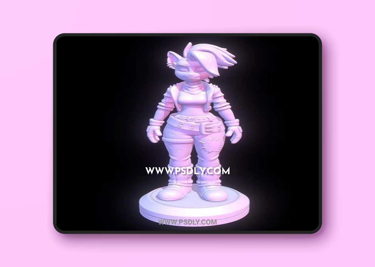 Tawna Bandicoot - Crash Bandicoot 4 and Sorrel - Dragon Rider 3D Print