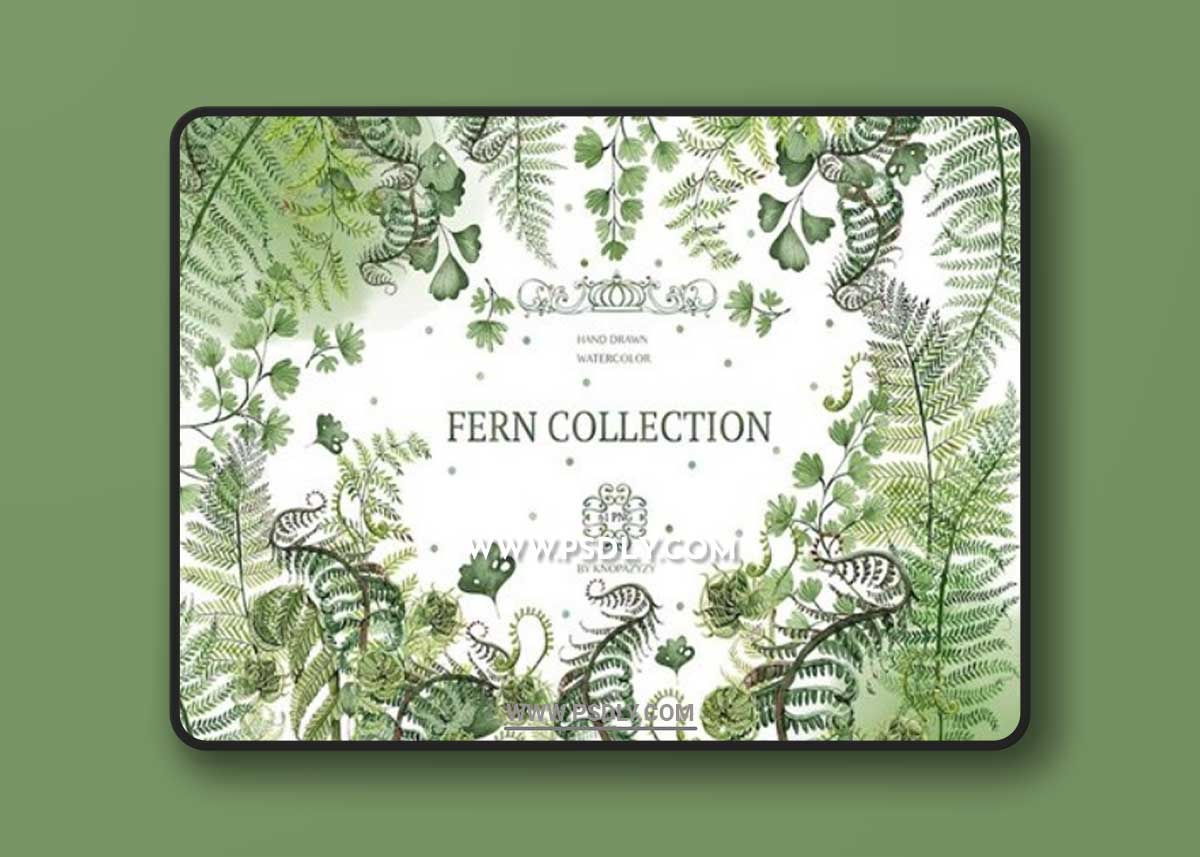 Watercolor Fern Collection W7MKD4F