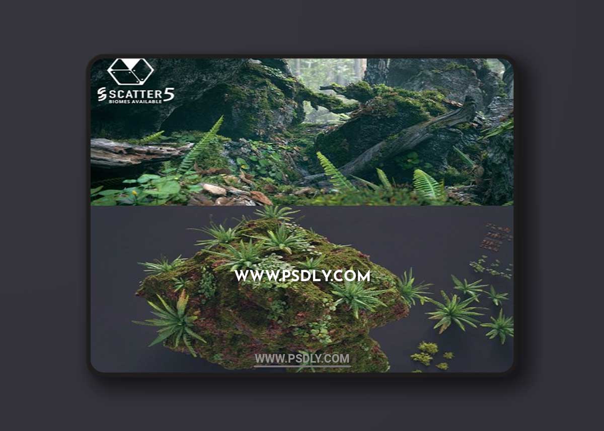 Blender Market - Moss Biome Ground Scatter - 3d Assetkit Pbr