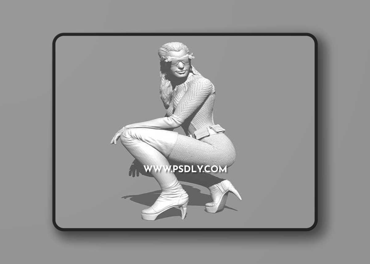 Catwoman - Dark Knight Rises 3D Print