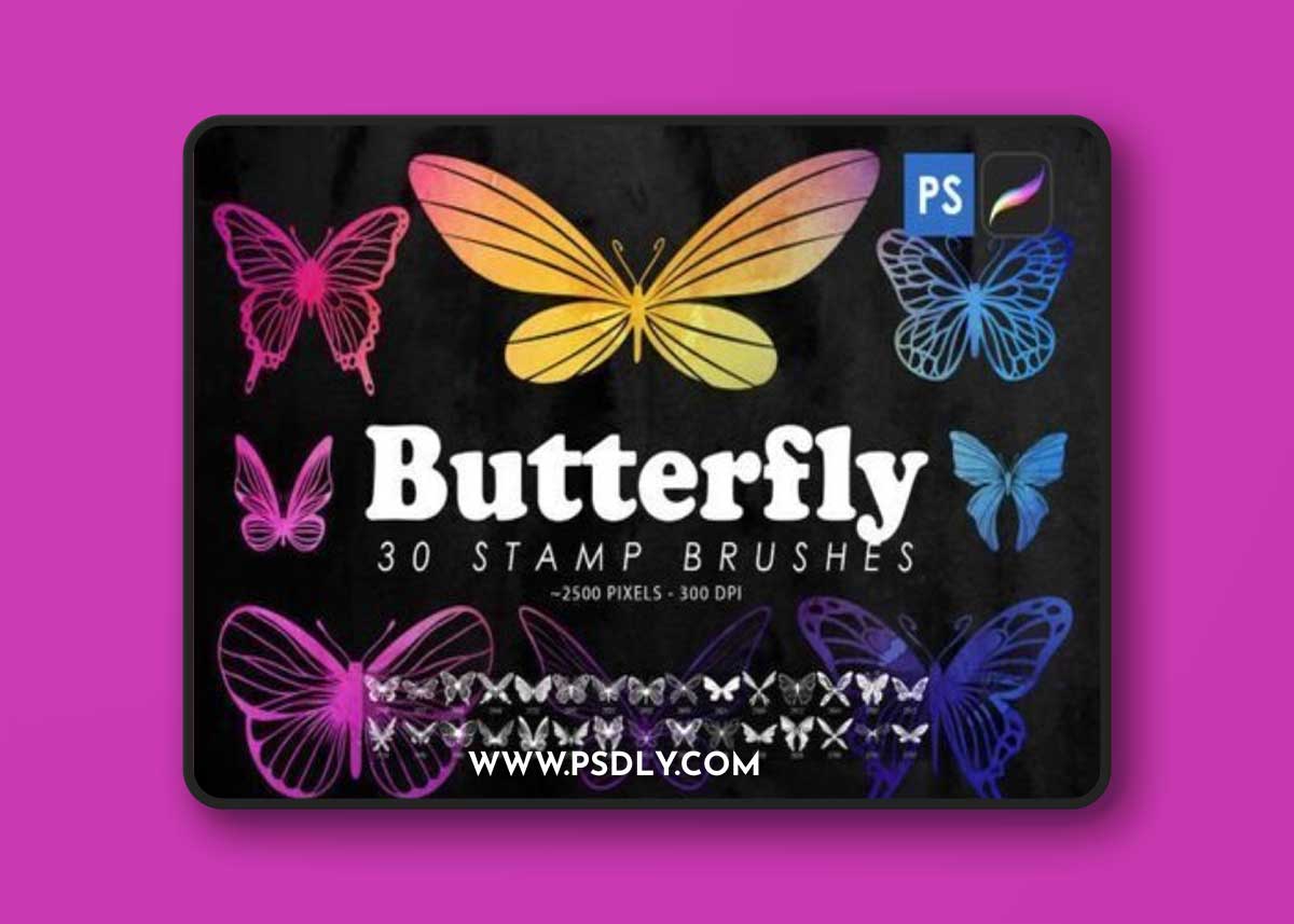 Stamp Brushes Bundles