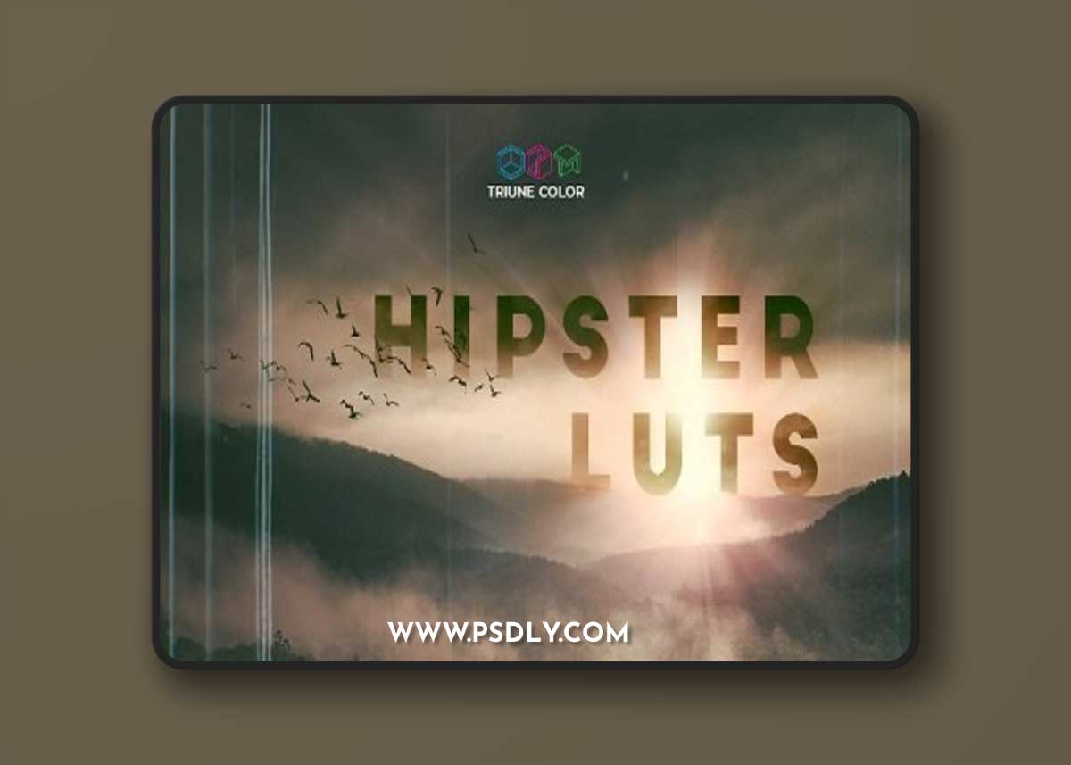 Triune Digital - Hipster Luts