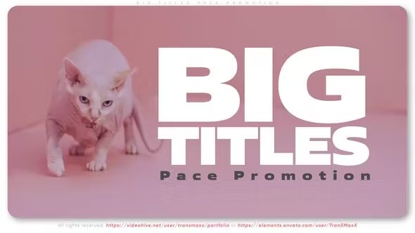 Videohive Big Titles Pace Promotion 41431831