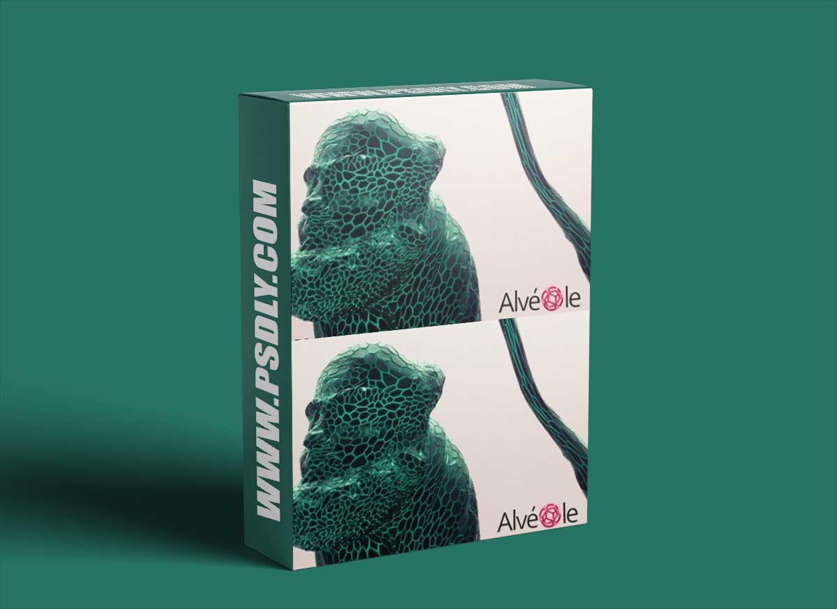 Vonc Alveole v1.0.3 for Cinema 4D