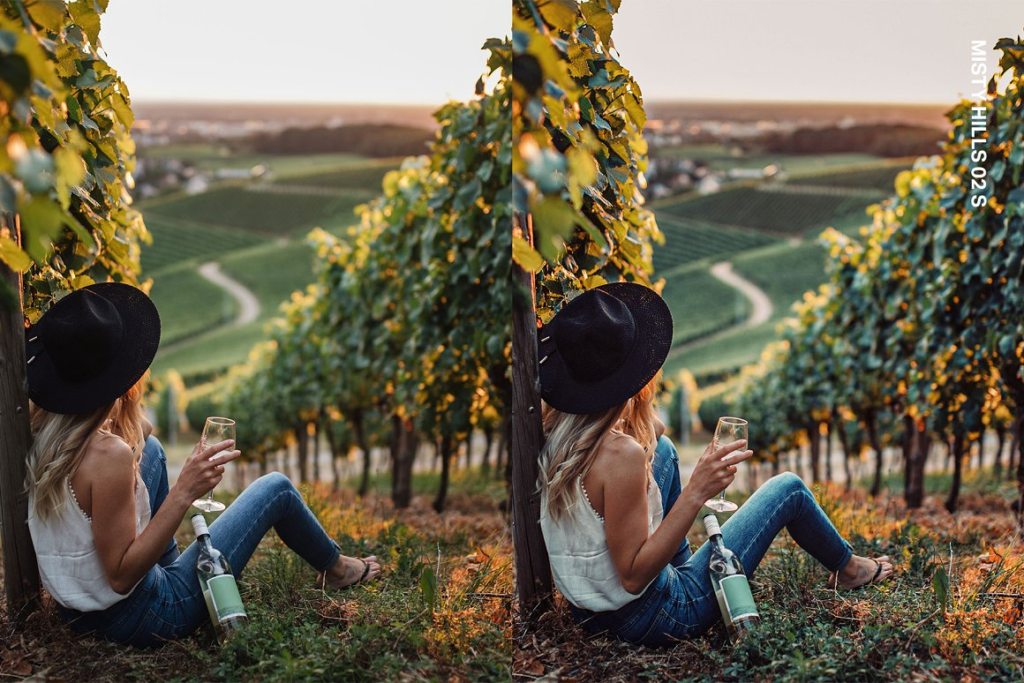 Creativemarket - Vineyard Lightroom Presets and LUTs 10307725 2 image 142