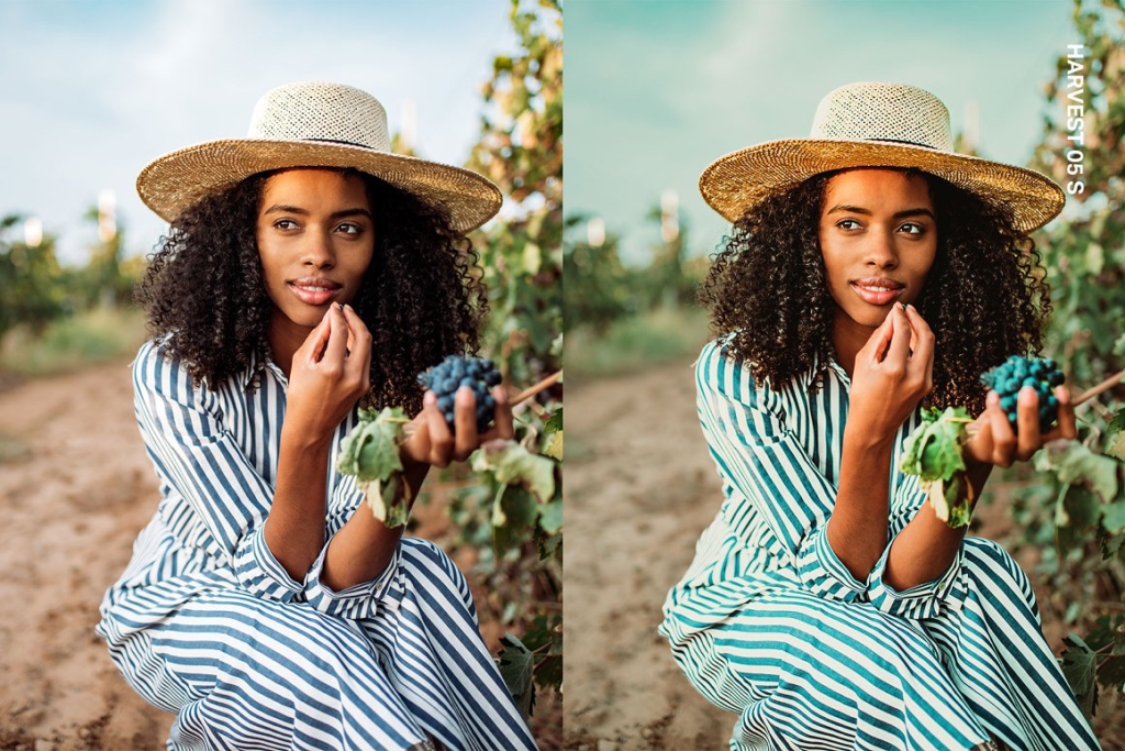 Creativemarket - Vineyard Lightroom Presets and LUTs 10307725 3 image 143
