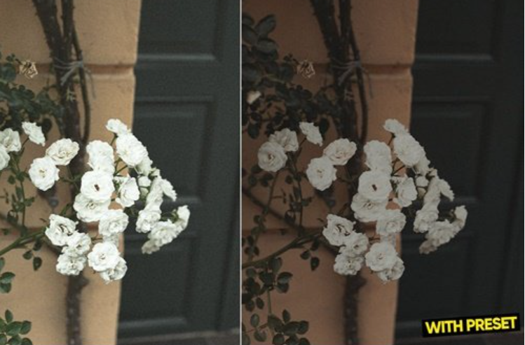 ARTA - Raw Layer Presets for Lightroom FYJHDBP 2 image 53