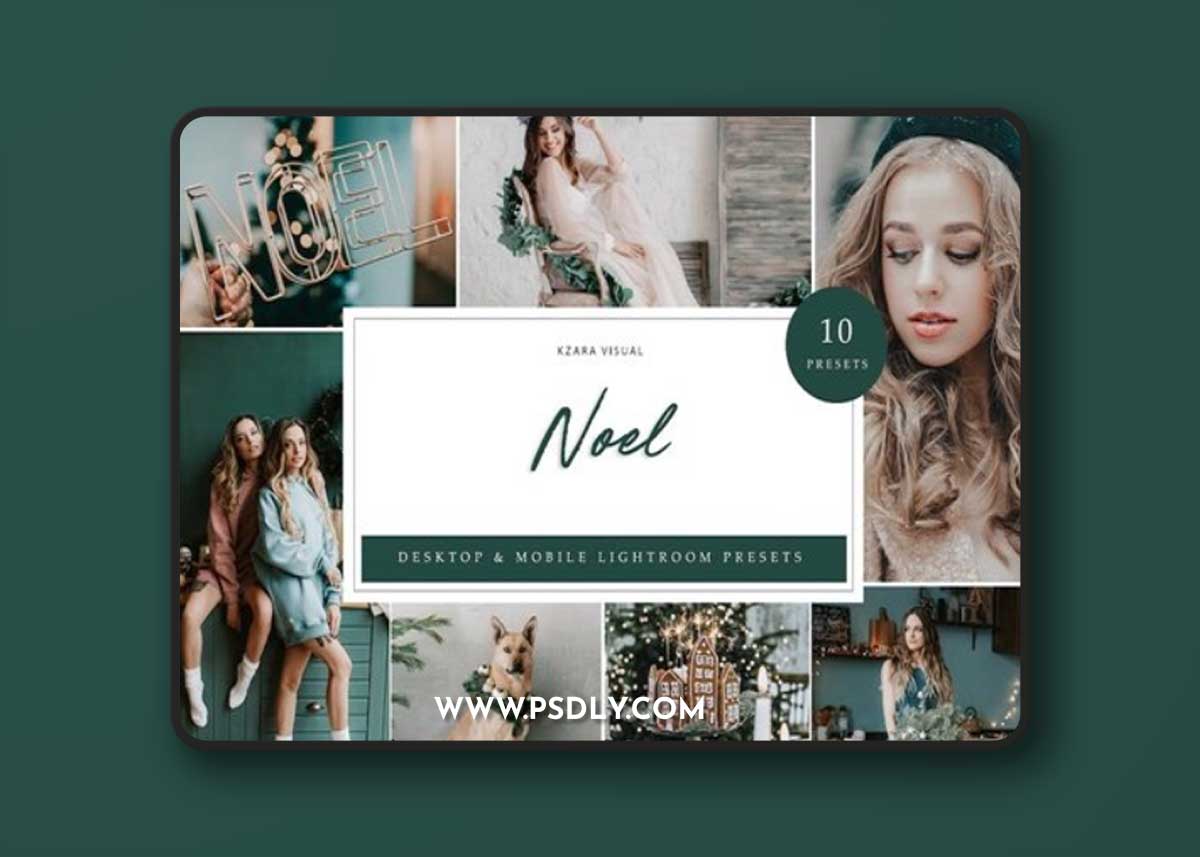 10 x Noel Lightroom Presets DC96WJ6