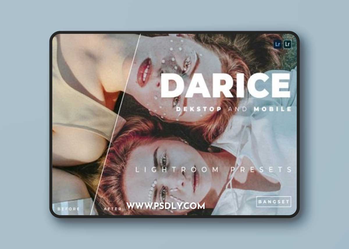 Darice Lightroom Presets