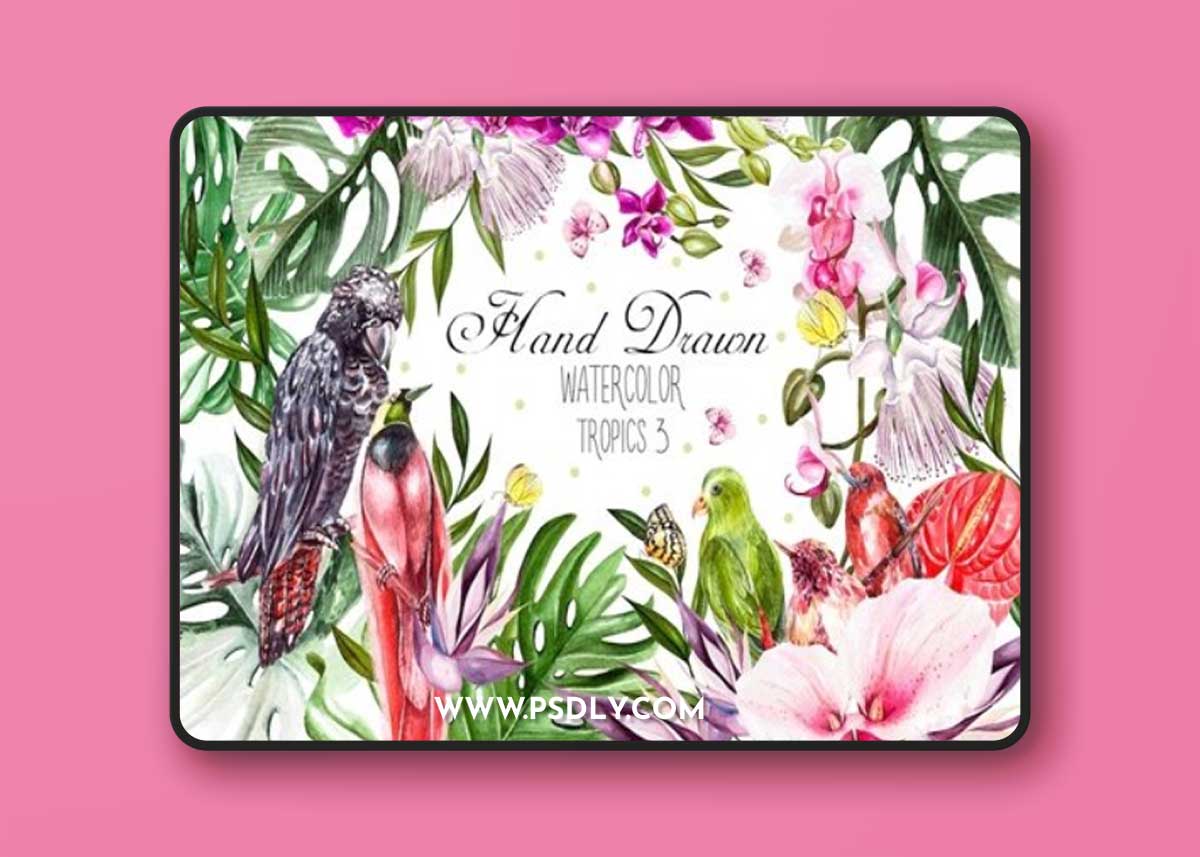 Hand Drawn Watercolor Tropic 3 SJUAKAX