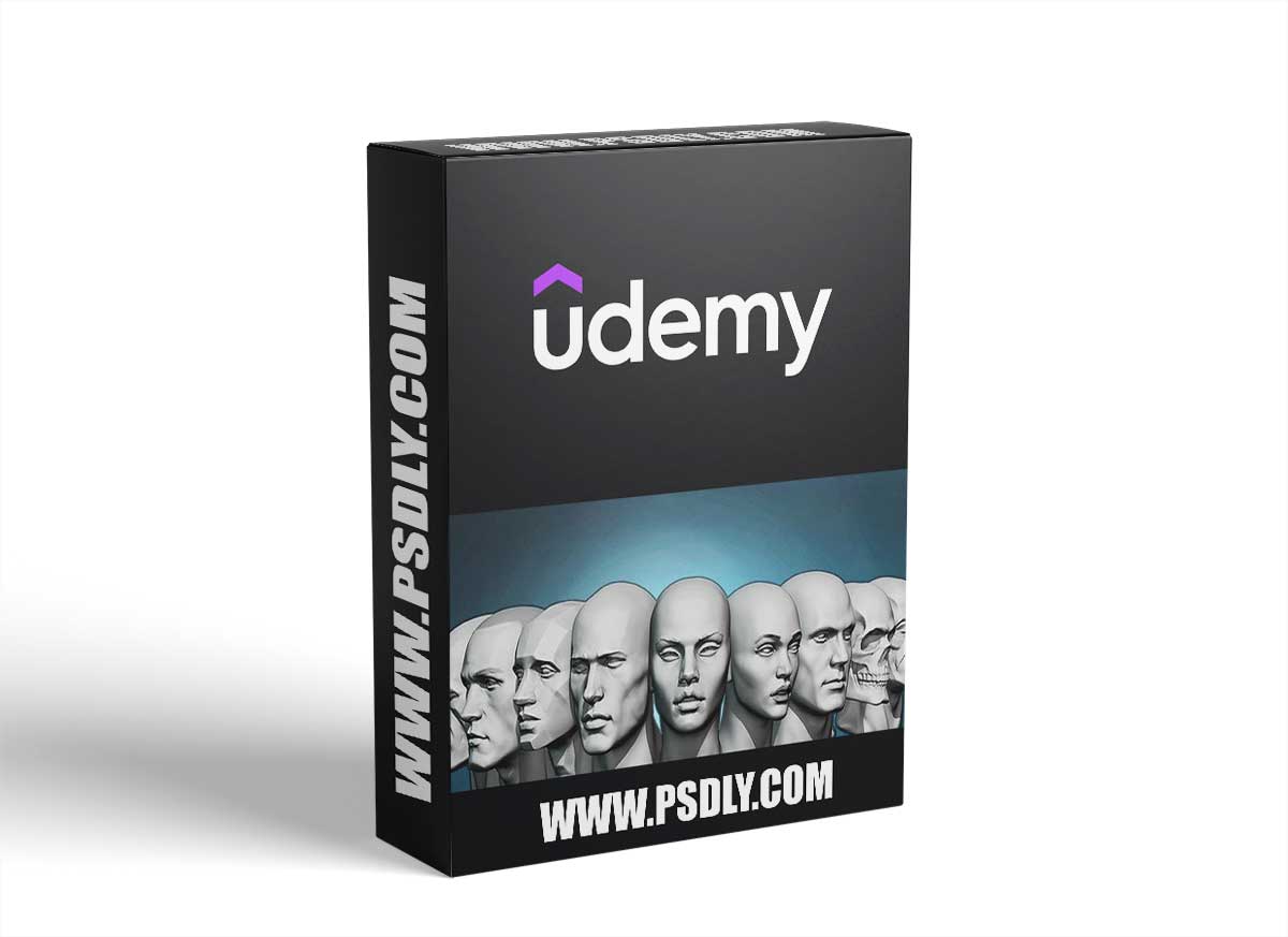 Head anatomy and sculpting exercises course