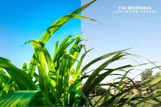 Fix Morning - Lightroom Preset 2 image 136