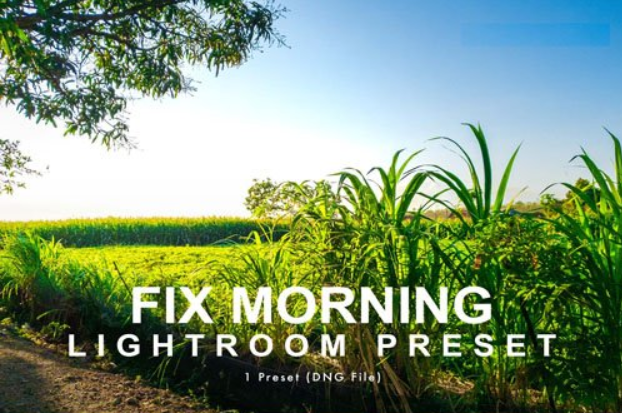 Fix Morning - Lightroom Preset 3 image 137