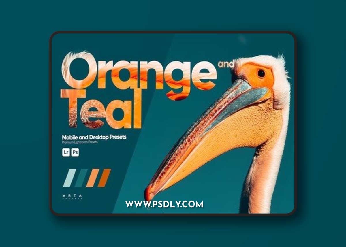 ARTA - Orange and Teal Presets for Lightroom