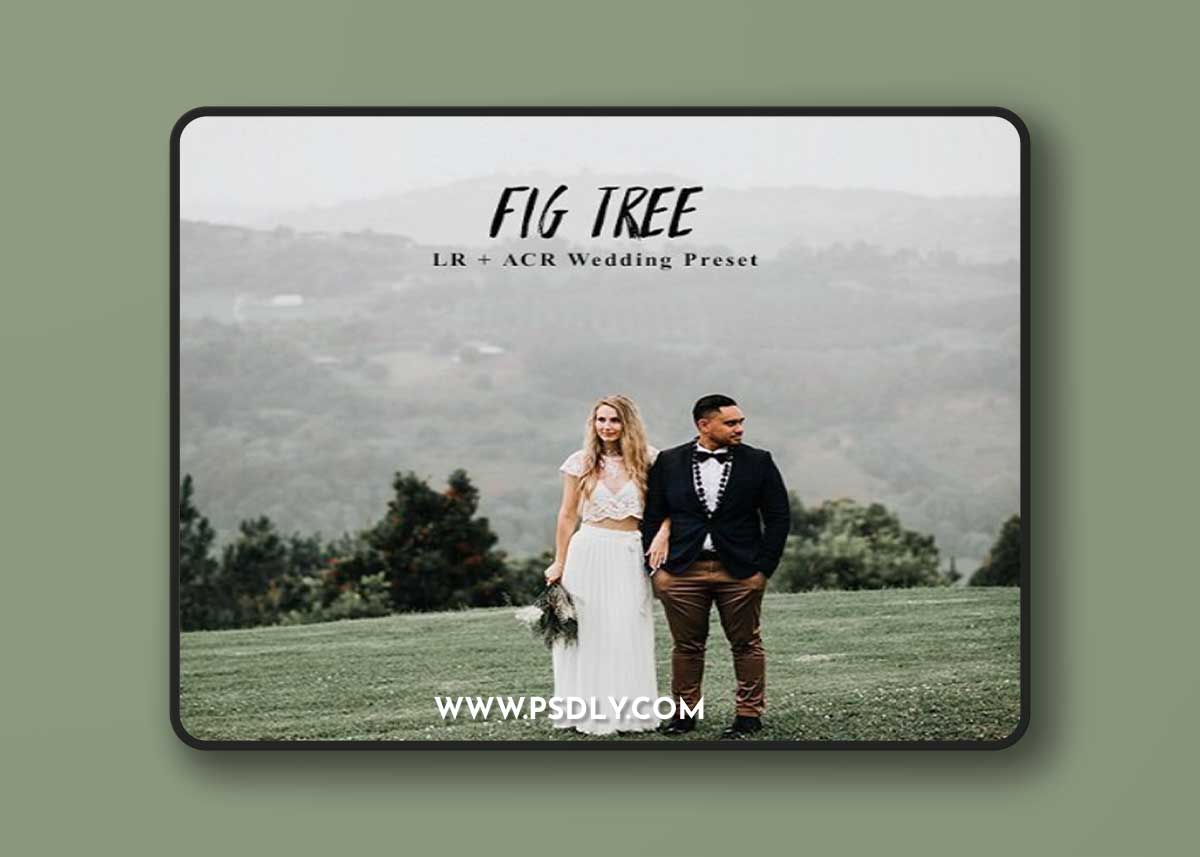 Andrewsuncolor - Fig Tree Lightroom Presets