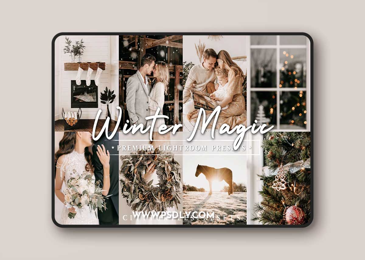 CreativeMarket - Natural Winter Magic LR Presets 10983799