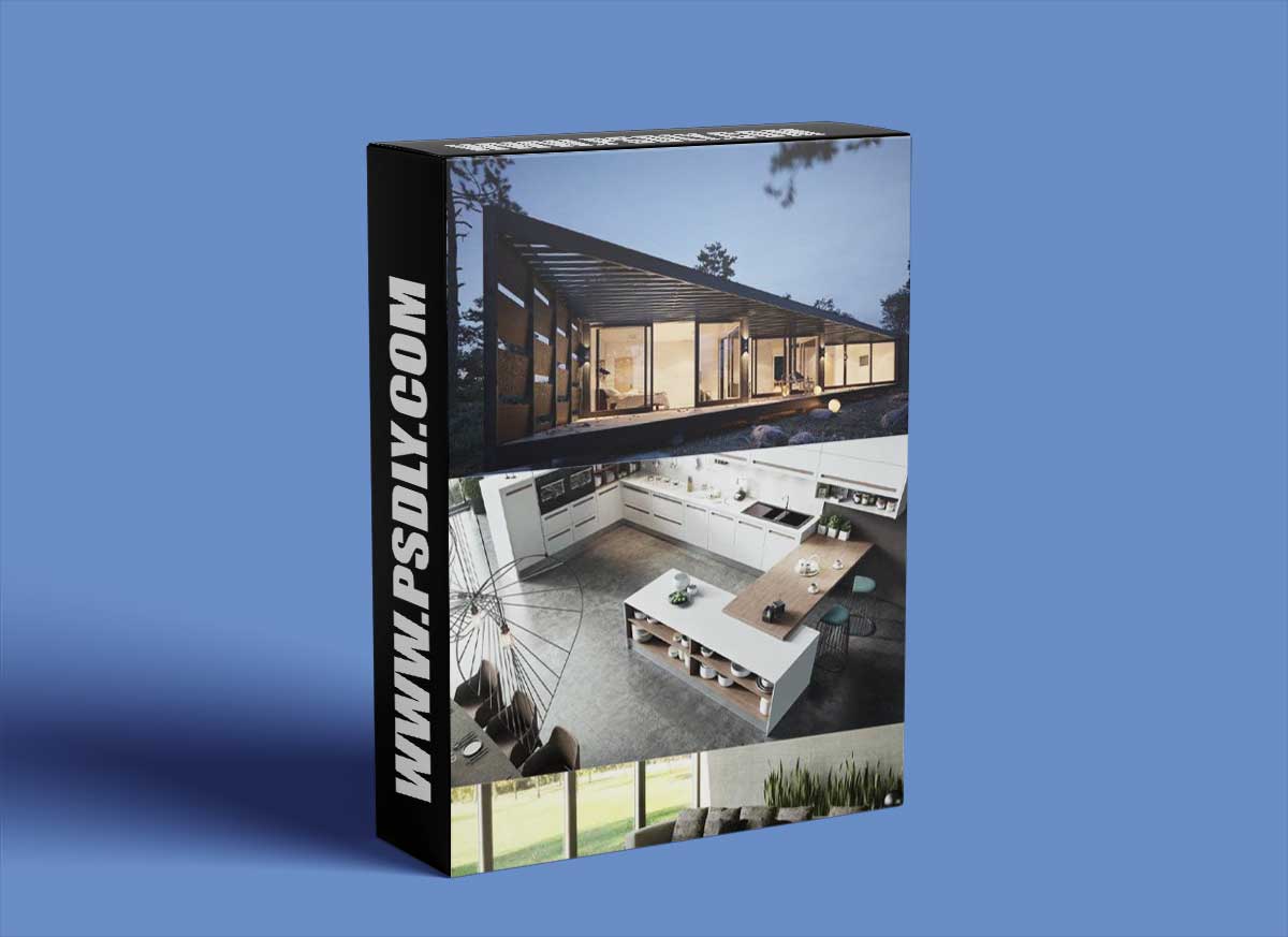 Ds Max + Vray 5 + Interior 3D Rendering