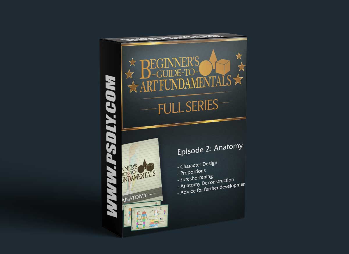 Gumroad - Forrest Imel - Beginner's Guide to Art Fundamentals Full Series