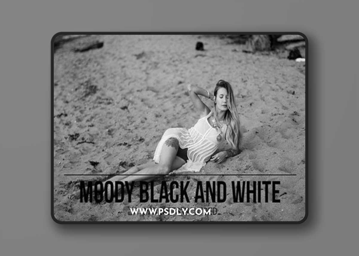 Moody Black and White Presets