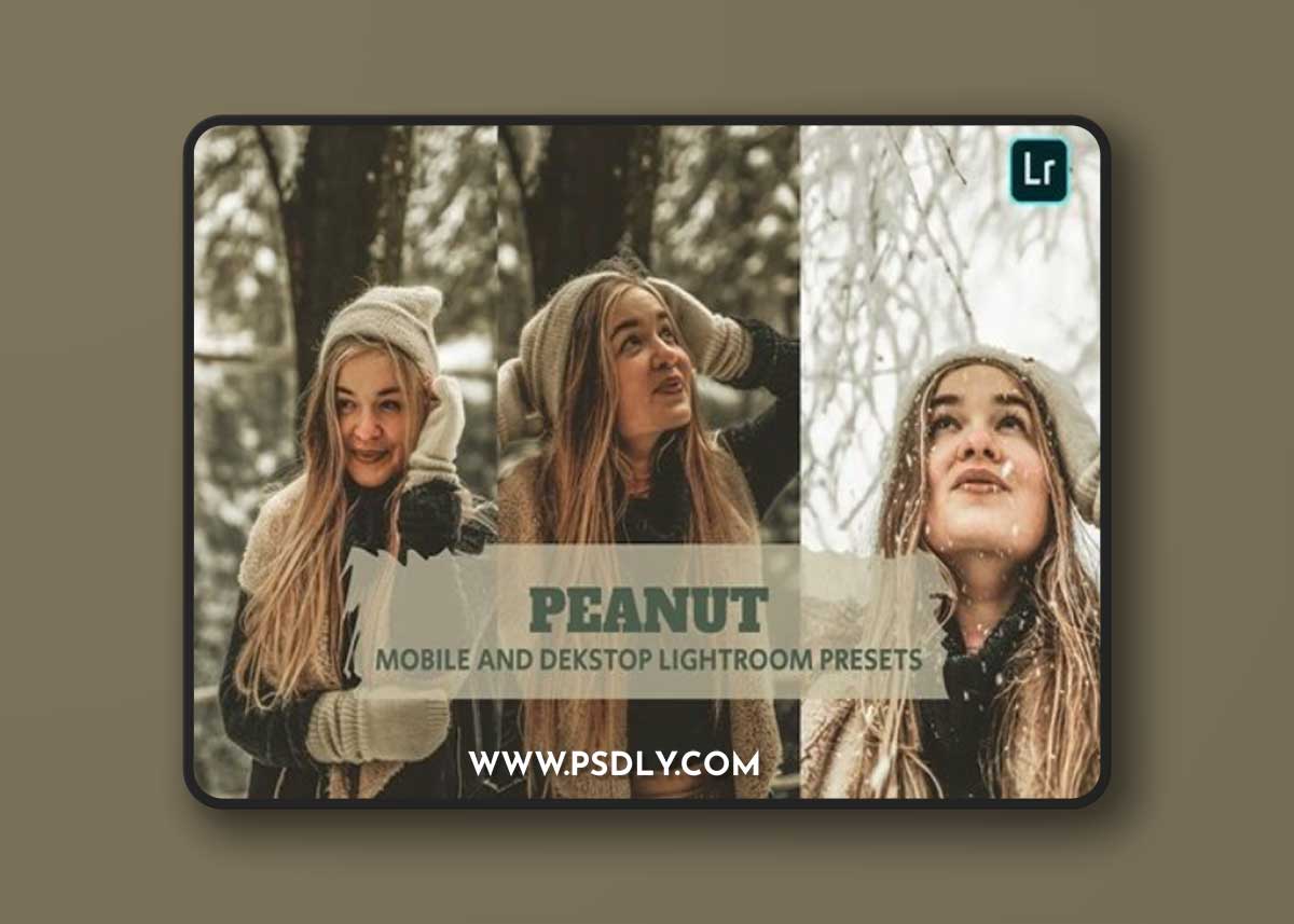 Peanut Lightroom Presets Dekstop and Mobile NNX265G