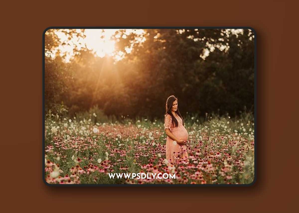 Sunkissed & Sandy | Lightroom Presets