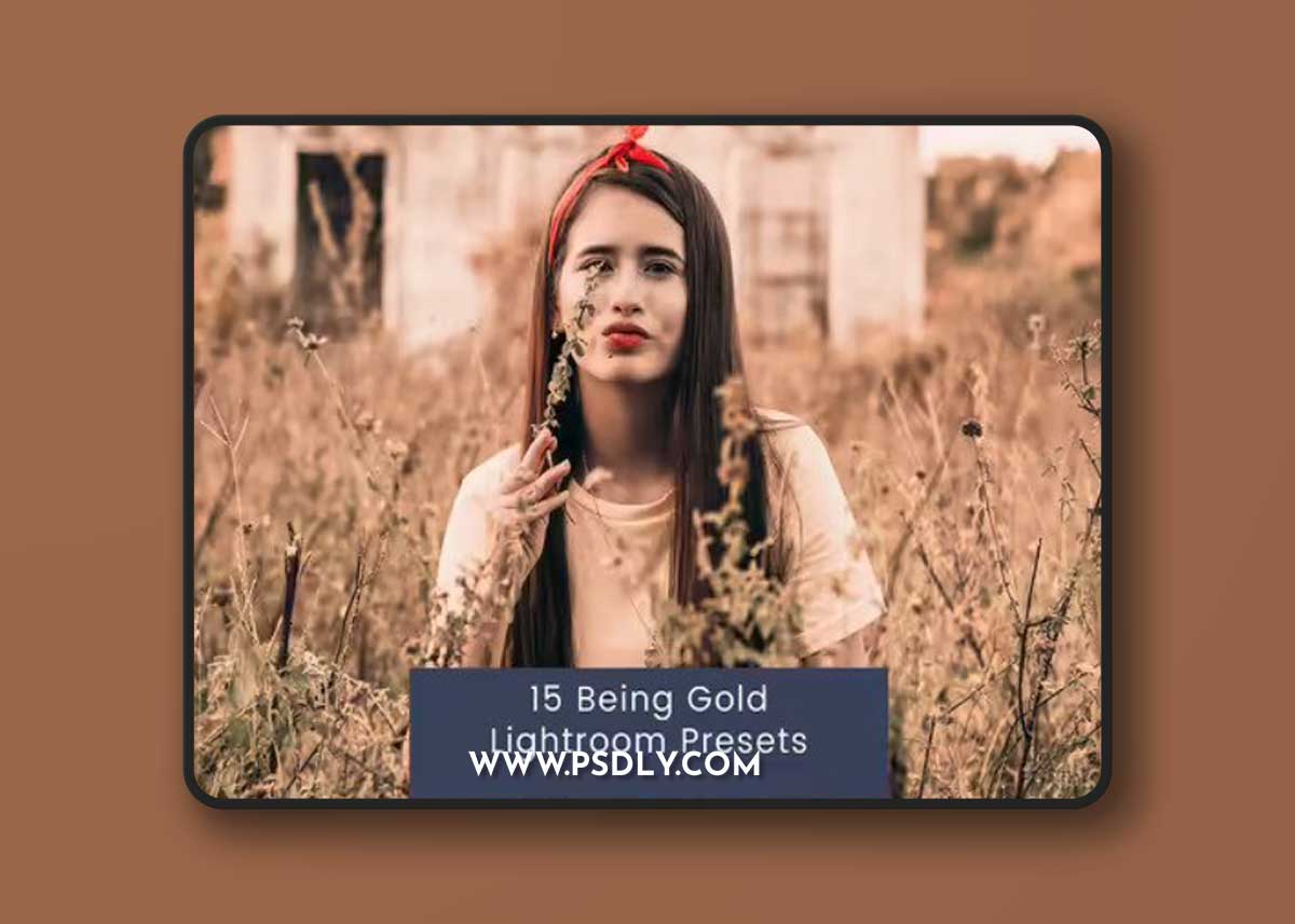 15 Being Gold Lightroom Presets