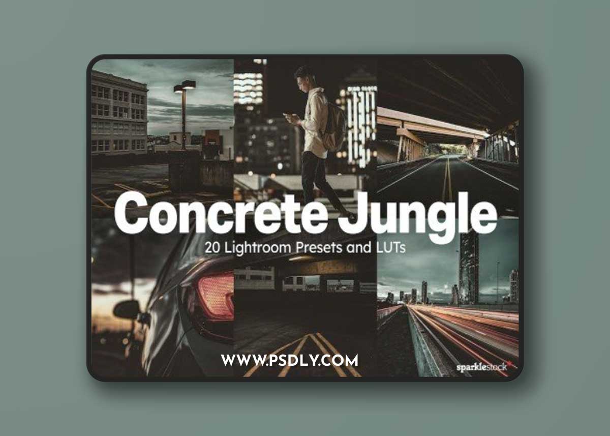 20 Concrete Jungle Lightroom Presets and LUTs