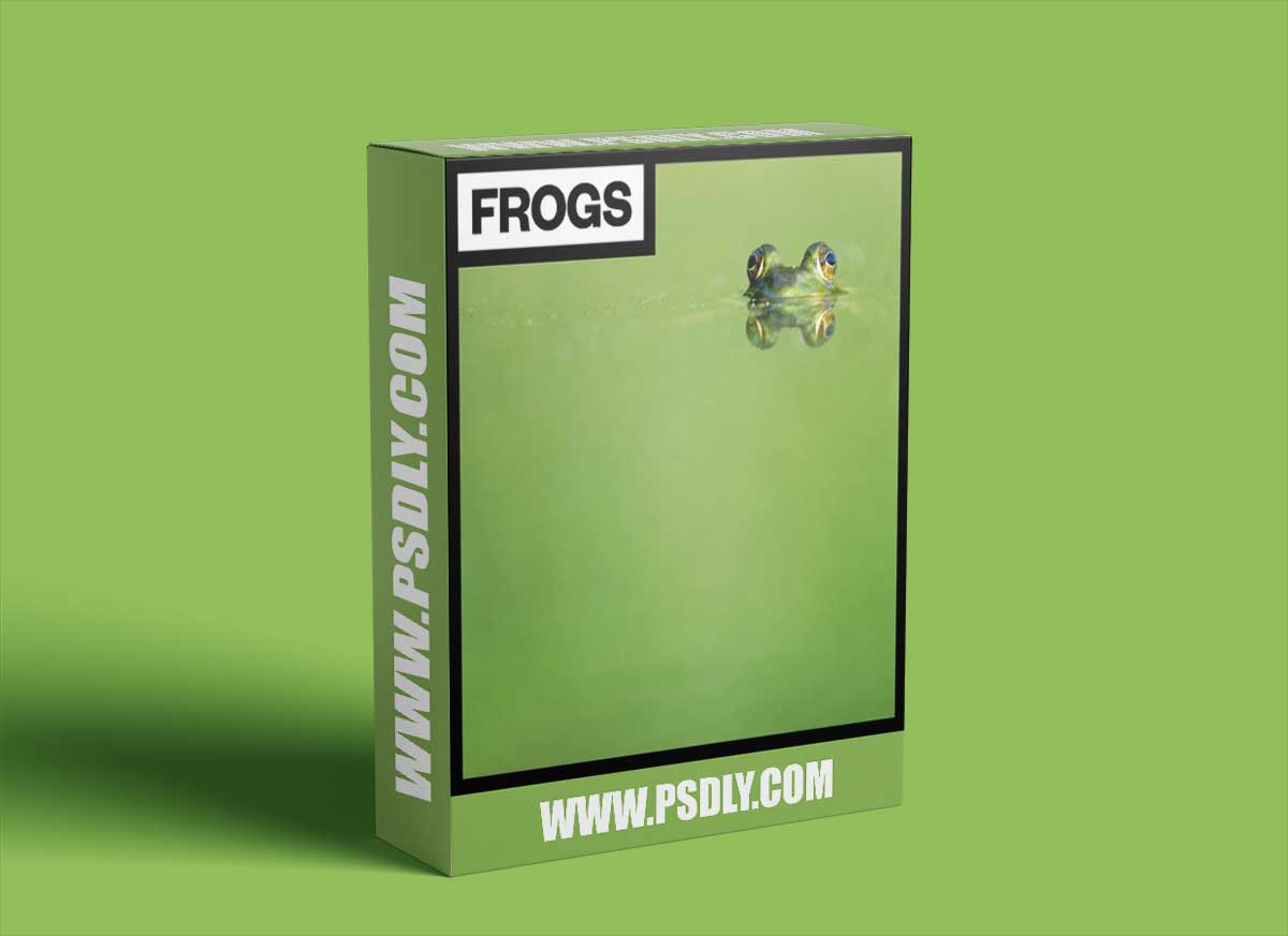 Big Room Sound Frogs