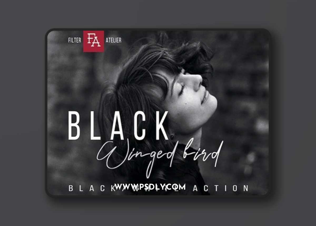 Black Winged Bird - Black & White Photoshop Action G574J4X