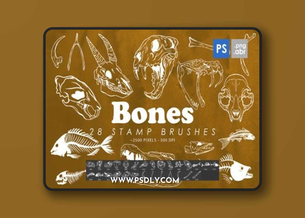 Bones Photoshop Stamp Brushes 60196474