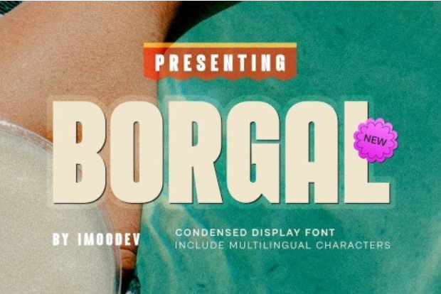Borgal - Modern Minimal Font