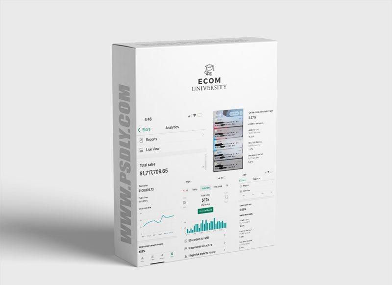 Ecom University Blueprint 2.0 Download