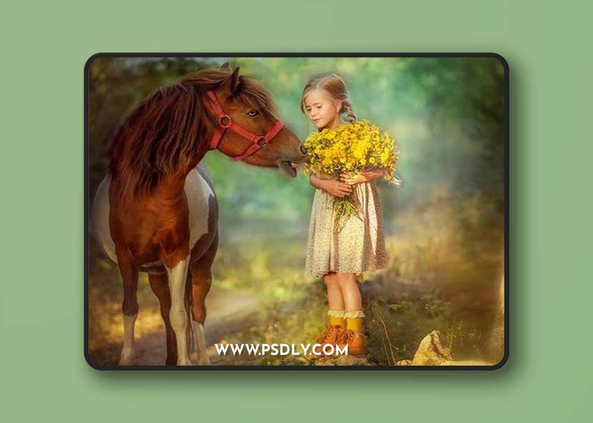 Olgadrovaleva - FAIRY PROCESSING from A to Z 2