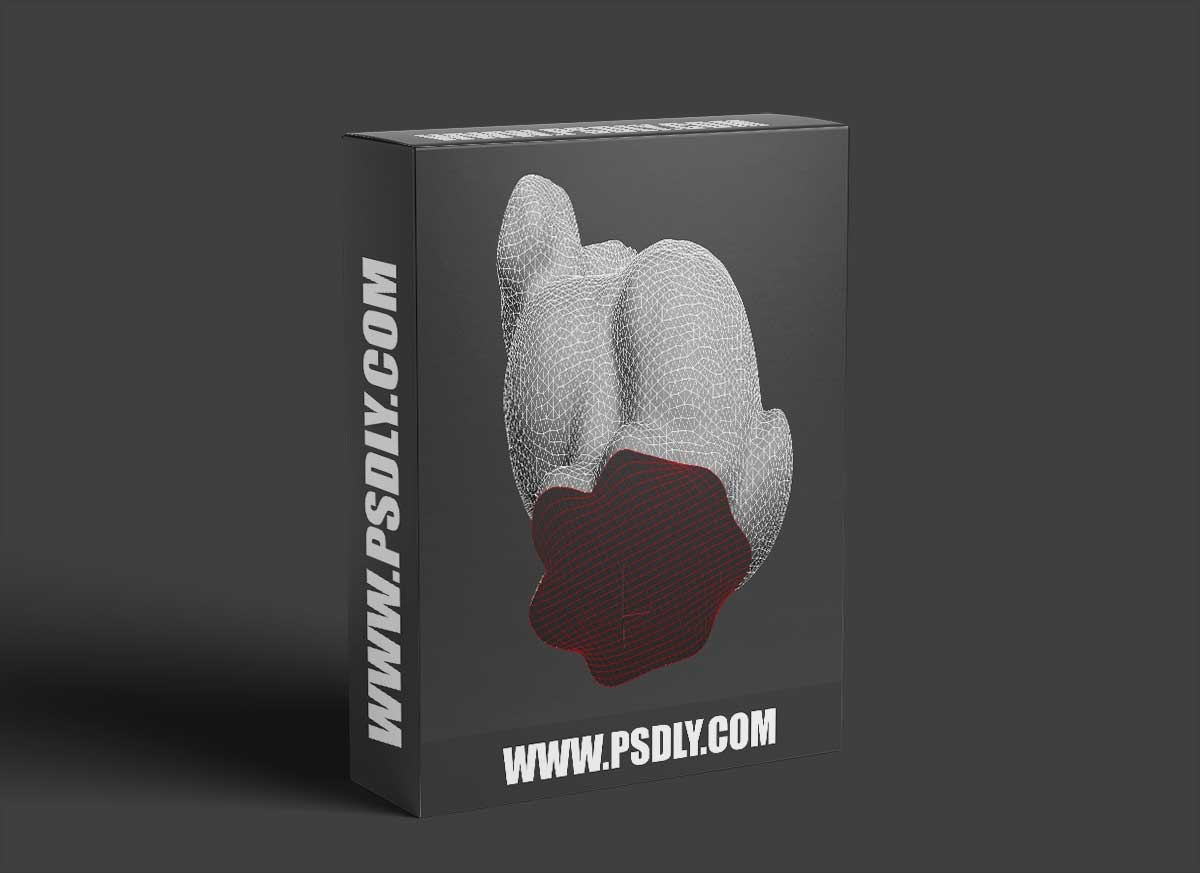 Quad Cap Pro v1.01 for 3DSMax 2008 - 2023