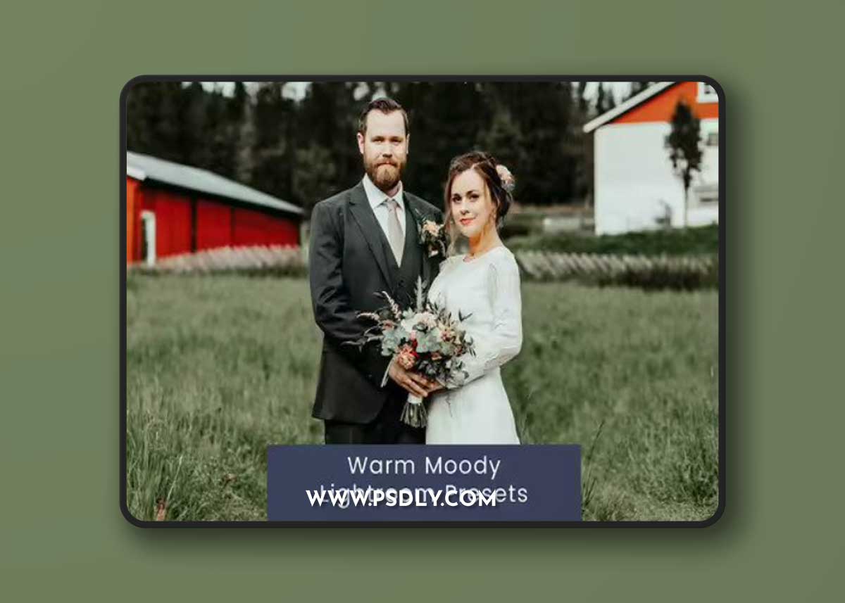 Warm Moody Lightroom Presets