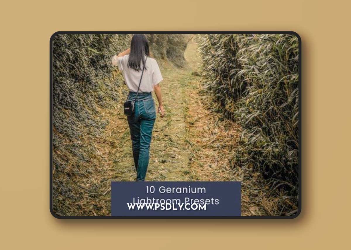 10 Geranium Lightroom Presets