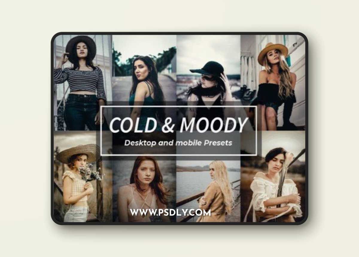 Cold & Moody Lightroom Presets