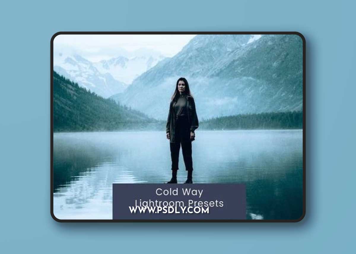 Cold Way Lightroom Presets PSTAXW2