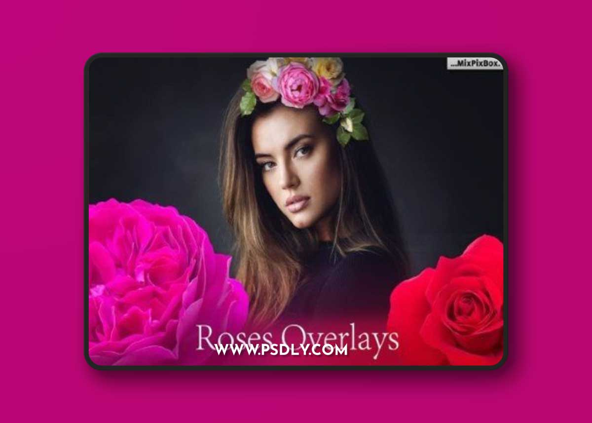 Roses Photo Overlays