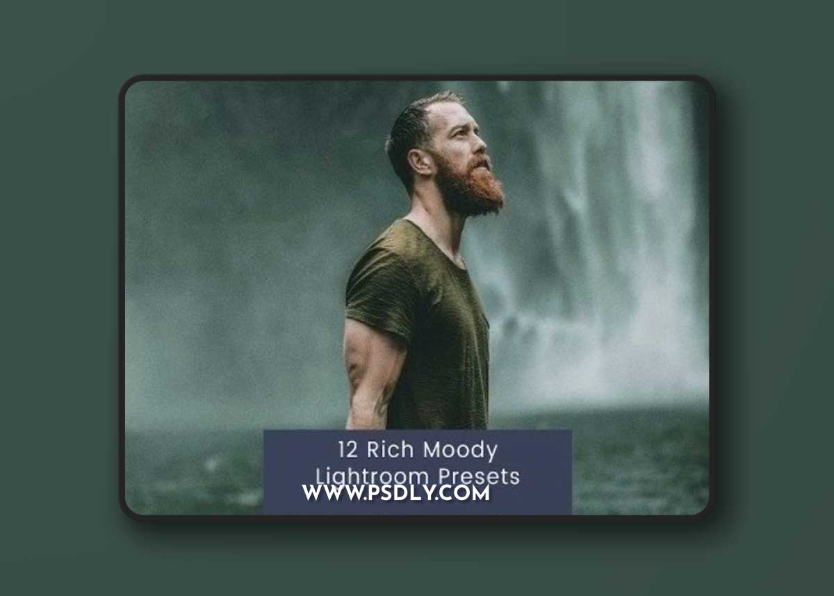 12 Rich Moody Lightroom Presets