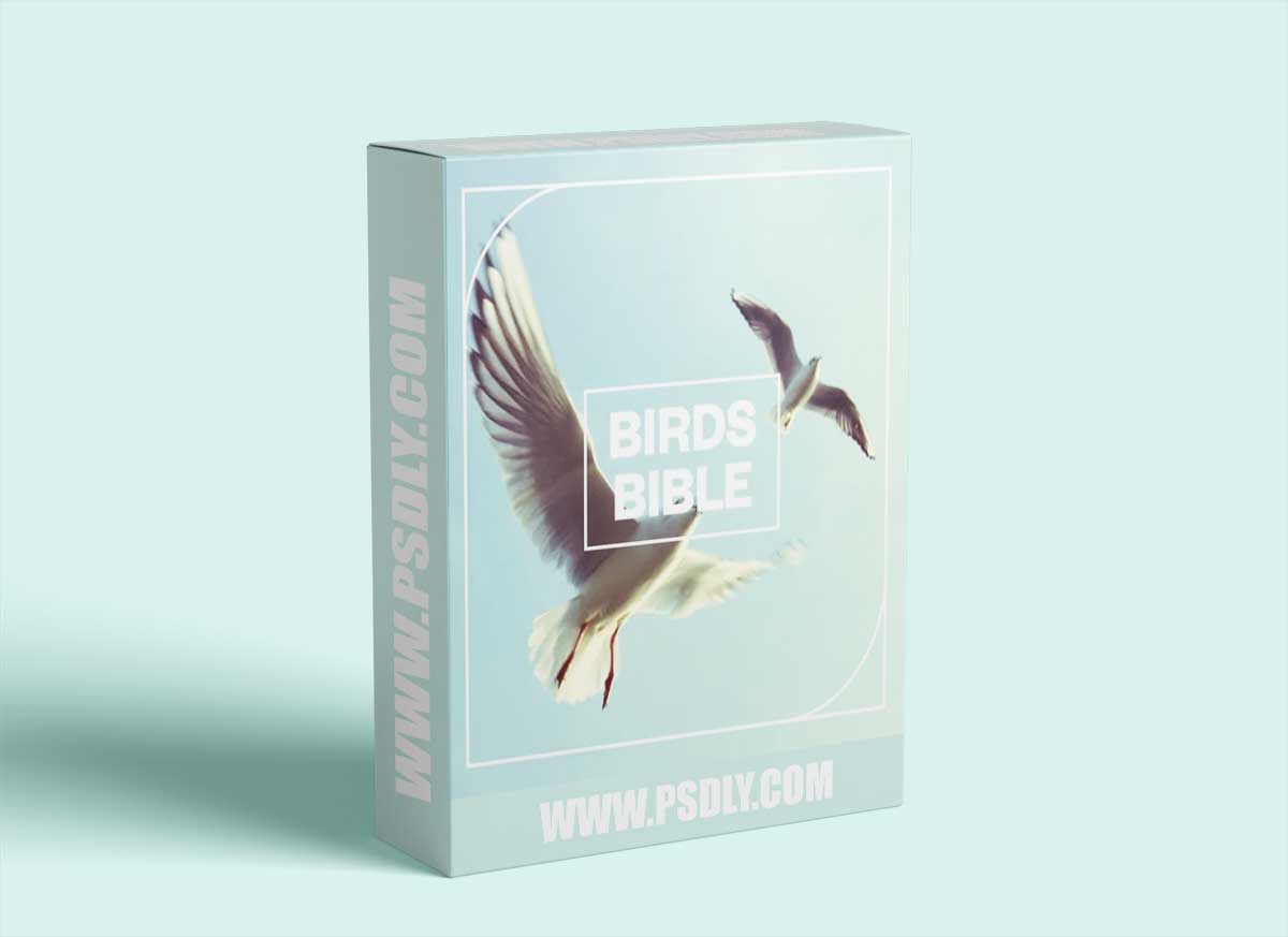 Blastwave FX Birds Bible