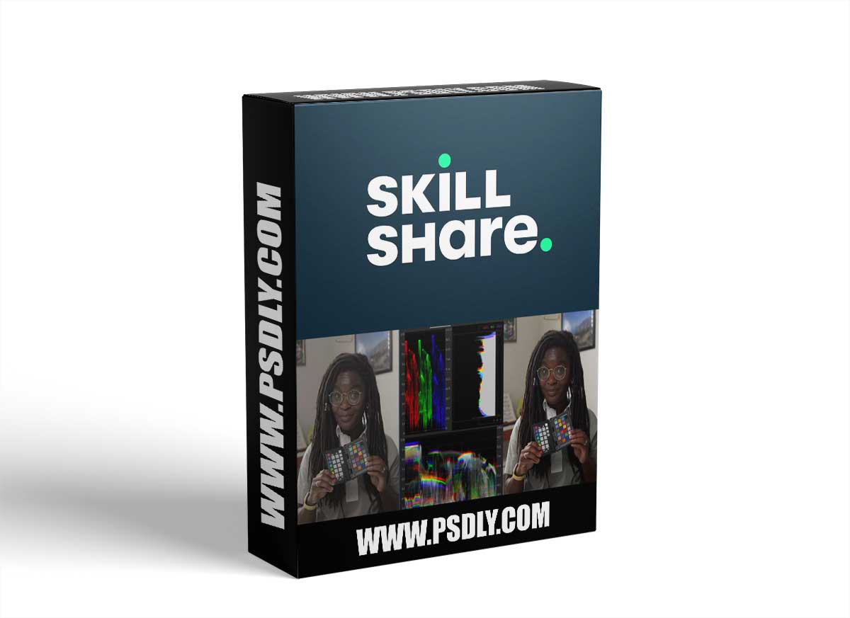 Color Correction and Color Grading Basics in Adobe Premiere Pro