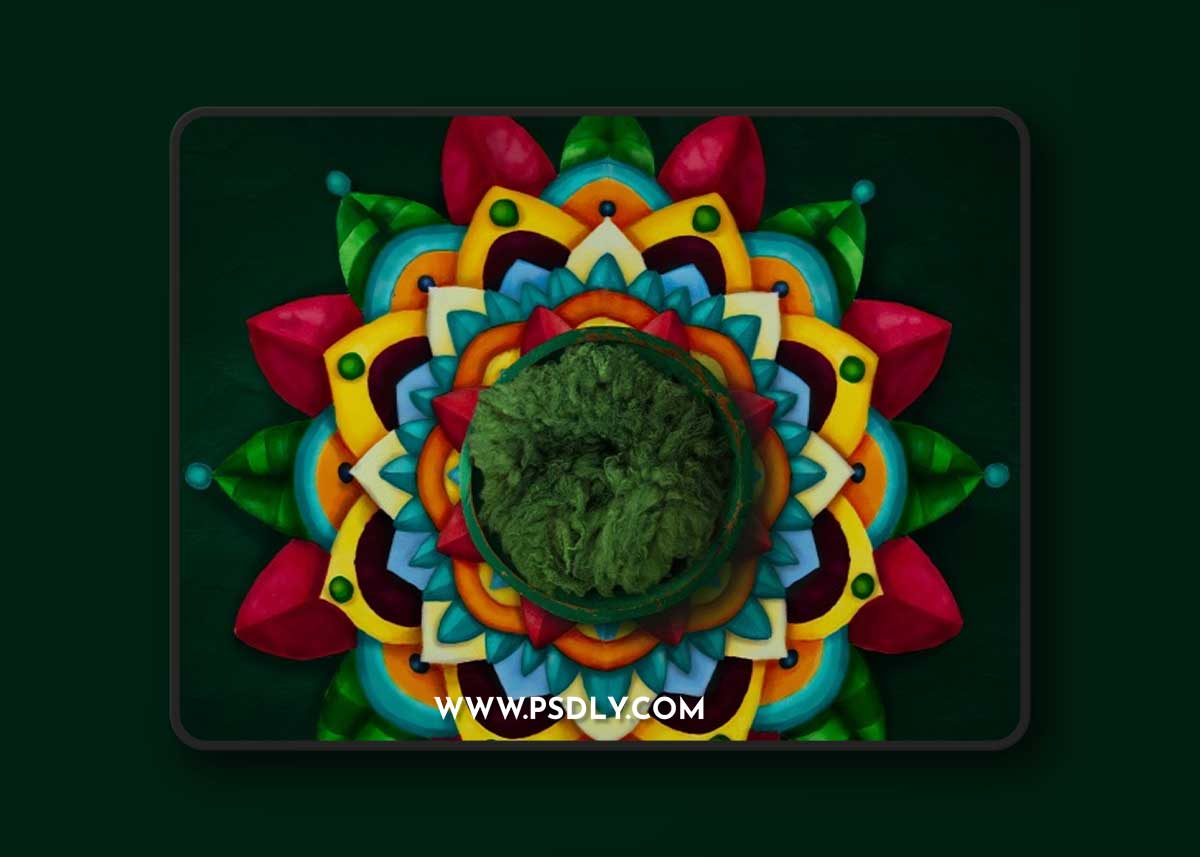 MegBitton - Newborn Mandala