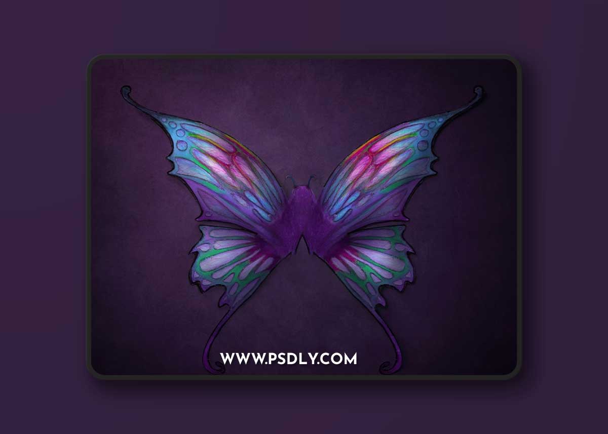 MegBitton – Newborn Butterfly