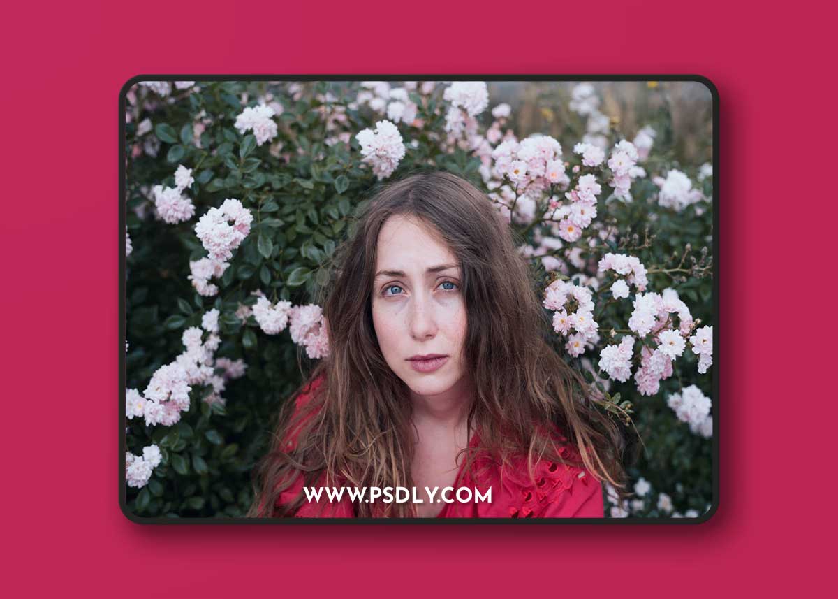 The Classic Presets - Classic CineStock Profiles for Lightroom