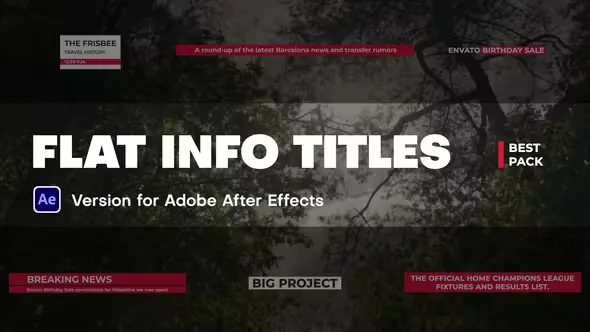 Videohive Flat Info Titles 45194090