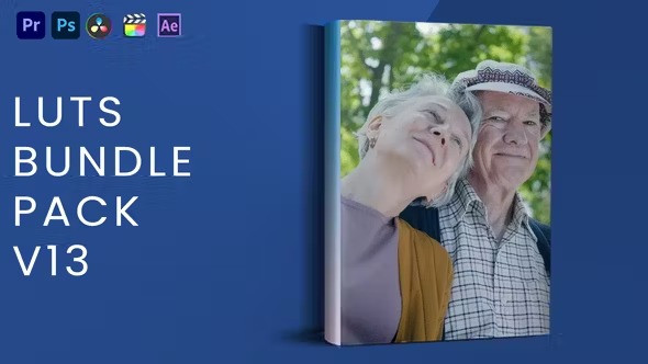 Videohive - LUTs Bundle Pack V13 - 43108701