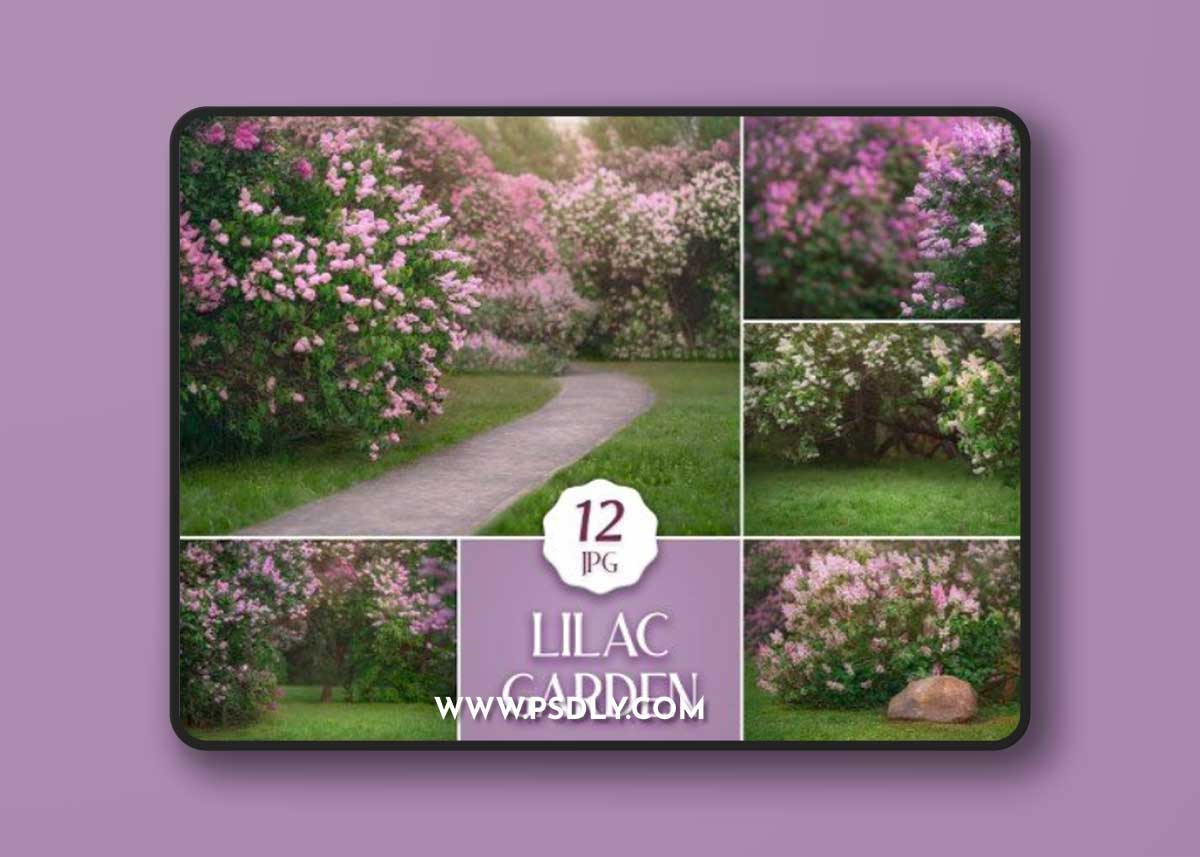 12 Lilac Garden Backdrops, Summer Digital Photoshop Backgrounds with Flowering Trees & Green Grass for Photographers