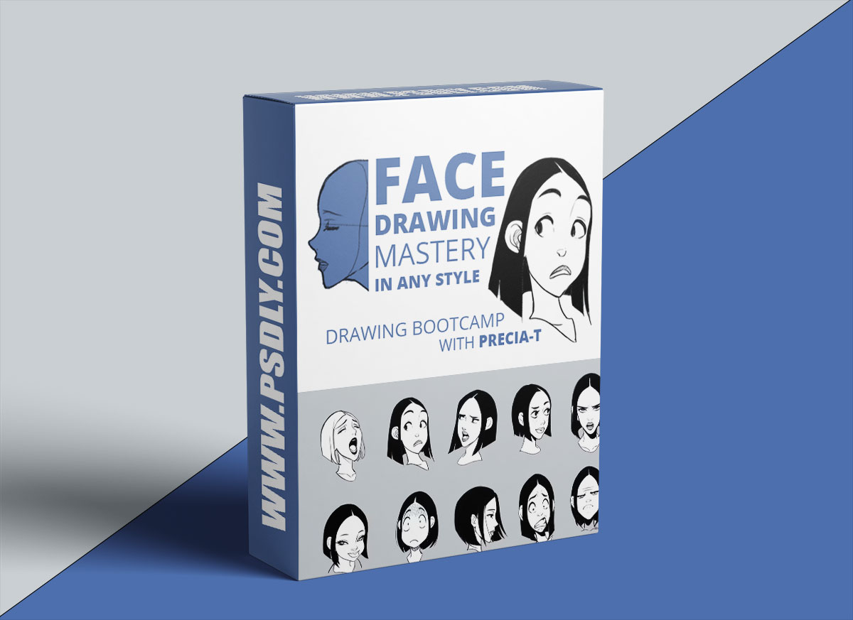 2danimation101 - Face Drawing Mastery Drawing Bootcamp